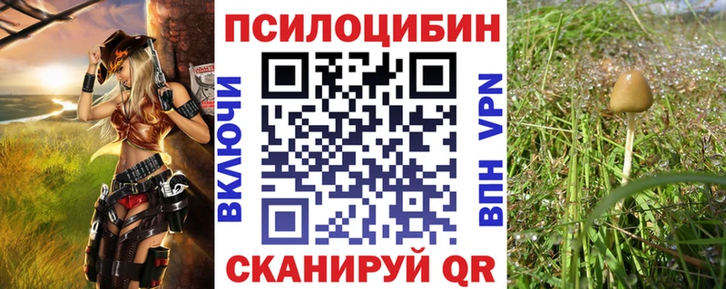 Галлюциногенные грибы ЛСД  Апатиты 